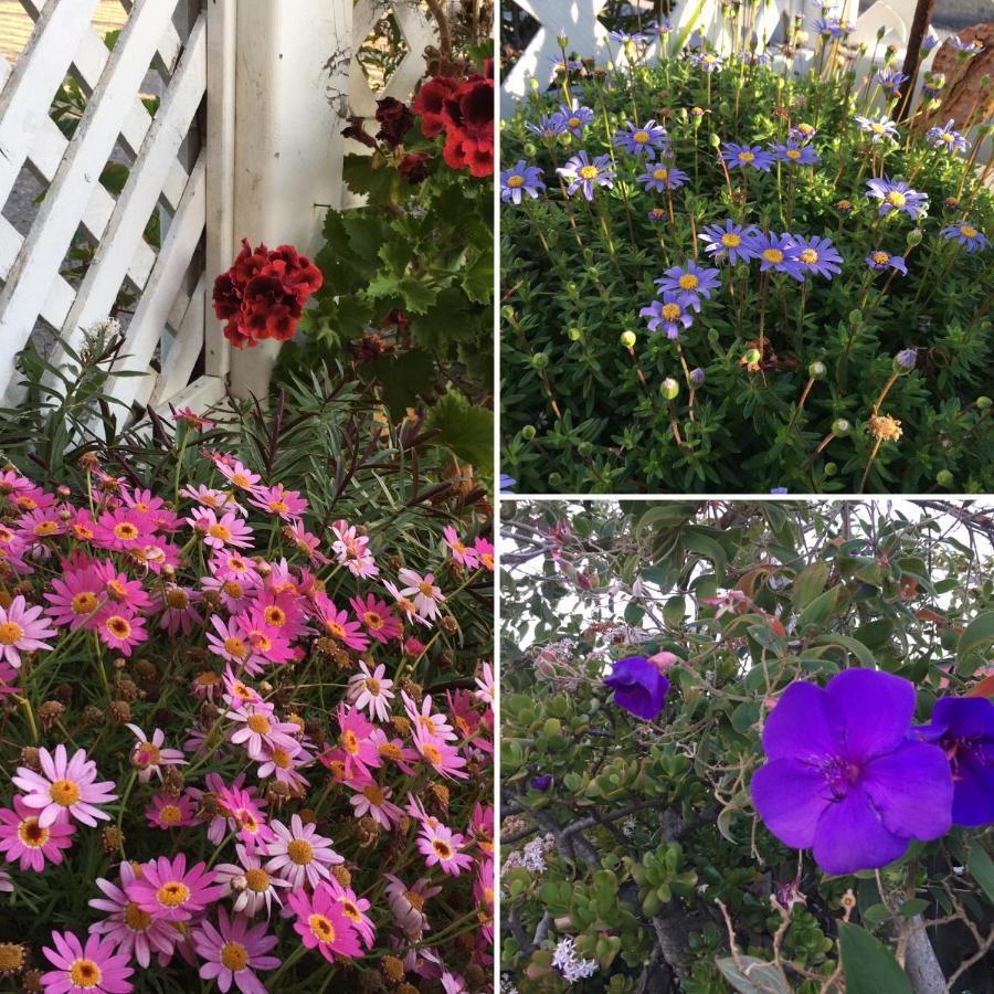 Marina Street Inn Morro Bay Εξωτερικό φωτογραφία